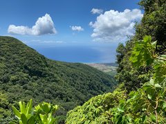 Central Reserve National Park in Saint Kitts and Nevis, Saint Thomas Middle Island | Nature Reserves - Rated 0.9