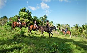 Centro Ecuestre Bellavista | Horseback Riding - Rated 0.9