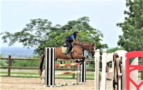 Centro Hipico Da Funda in Angola, Luanda Province | Horseback Riding - Rated 0.7