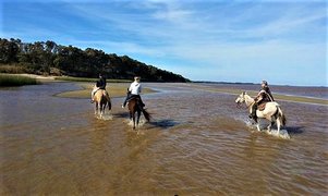 Centro ecuestre y Cabalgatas Macondo in Uruguay, Salto Department | Horseback Riding - Rated 1.1