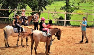 Ceylon Riding Club | Horseback Riding - Rated 1