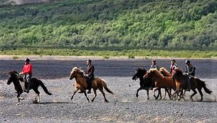 Chamberlain Country Club in Kazakhstan, Akmola | Horseback Riding - Rated 1.2