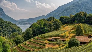 Chappaz in Switzerland, Canton of Valais | Wineries - Rated 0.9