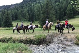 Charlotte Horse Riding Campitello di Fassa - Dolomites | Horseback Riding - Rated 1.1