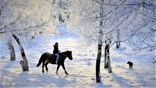 Chastnaya Konyushnya Dusha Preriy in Belarus, Grodno Region | Horseback Riding - Rated 1