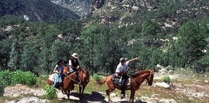 Cheval Coaching Communication Tunisie | Horseback Riding - Rated 1