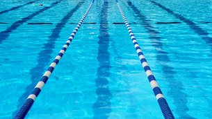 Chicago Blue Dolphins in USA, Illinois | Swimming - Rated 0.8