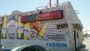 Chicas Bonitas in USA, Nevada  - Rated 0.9