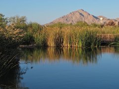 Clark Wetlands Park in USA, Nevada | Parks - Rated 3.8