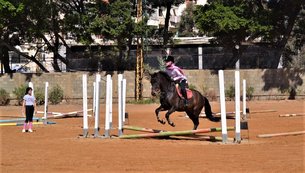 Club Hippique Libanais | Horseback Riding - Rated 0.8