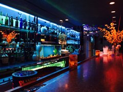 Club Sundance | Strip Clubs,Sex-Friendly Places - Rated 0.3