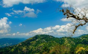 Cockpit Country Trails in Jamaica, Saint Ann Parish | Trekking & Hiking - Rated 0.8