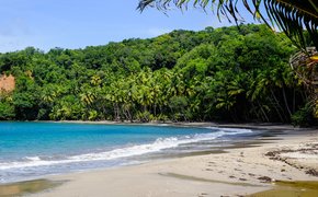 Coconut Beach | Beaches - Rated 0.8