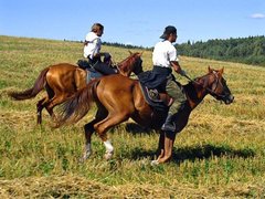 Conferma KH Manul | Horseback Riding - Rated 1.2