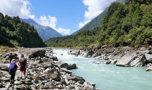 Copland Track to Welcome Flat Hut in New Zealand, West Coast | Trekking & Hiking - Rated 0.9