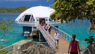 Coral World Ocean Park in USA, Virgin Islands | Aquariums & Oceanariums - Rated 3.9