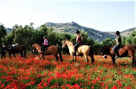 Cortijo Los Lobos in Spain, Andalusia | Horseback Riding - Rated 1