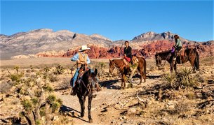 Cowboy Trail Rides in USA, Nevada | Horseback Riding - Rated 4.7