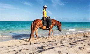 Creo Equestrian in Oman, Muscat Governorate | Horseback Riding - Rated 0.9