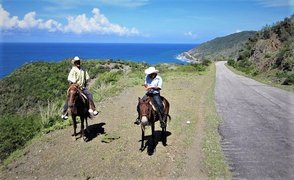 Cuba Horseback Rides in Cuba, Holguin | Horseback Riding - Rated 0.7