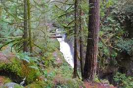 Cypress Falls Park in Canada, British Columbia | Waterfalls,Parks - Rated 3.6