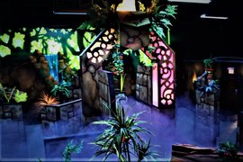 DP Lazer Maze in Canada, Ontario | Laser Tag - Rated 4.6