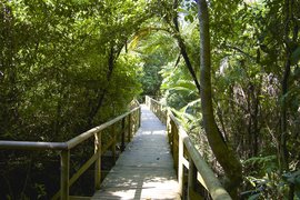 Manuel Antonio National Park Hike in Costa Rica, Puntarenas Province | Trekking & Hiking - Rated 3.7