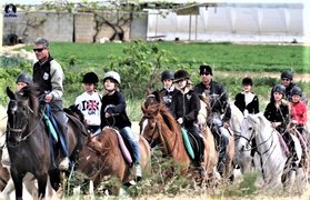 Daniel's Equestrian Training | Horseback Riding - Rated 1