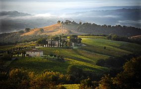 Decugnano dei Barbi in Italy, Umbria | Wineries - Rated 0.9