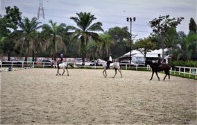Denai Alam Recreational and Riding Club in Malaysia, Selangor | Horseback Riding - Rated 1