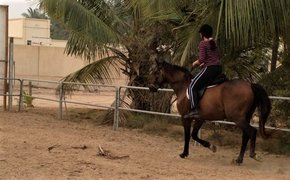 Dhofar Waves Equestrian Club | Horseback Riding - Rated 0.8