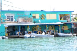 Dinghy Dock Restaurant in Puerto Rico, Vieques Island | Restaurants - Rated 3.8