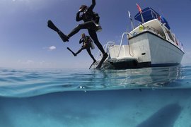 Dive Hurghada | Scuba Diving - Rated 3.9