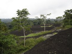 Dja Faunal Reserve in Cameroon, Southeastern | Nature Reserves - Rated 0.7