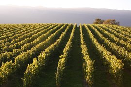 Domaine Les Perrieres in Switzerland, Canton of Geneva | Wineries - Rated 0.9