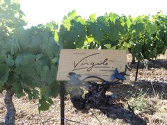 Domaine Virgile Joly in France, Occitanie | Wineries - Rated 0.8