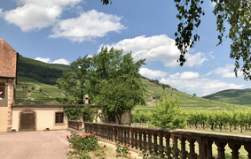 Domaine Weinbach in France, Grand Est | Wineries - Rated 0.9