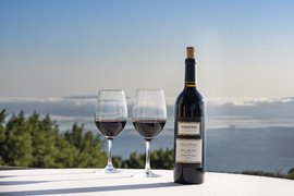 Vidovic Family Winery in Croatia, Split-Dalmatia | Wineries - Rated 0.9