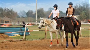 Duke Horse Riding Club in India, Meghalaya | Horseback Riding - Rated 1.3