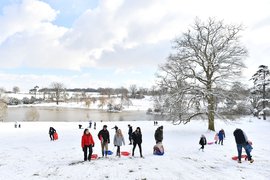 Dunorlan Park in United Kingdom, England | Sledding - Rated 4.3