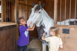 Ealing Riding School in United Kingdom, Greater London | Horseback Riding - Rated 1.1