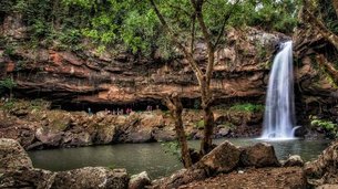 Eco-Lodge Cascada Blanca | Nature Reserves - Rated 3.7