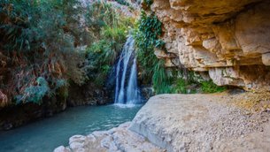 Ein Gedi | Nature Reserves,Oases - Rated 9.8