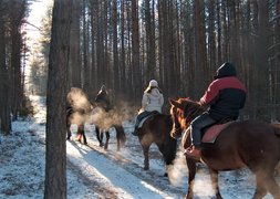Ekvi, Zirgu stallis | Horseback Riding - Rated 1.1