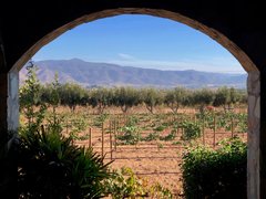 El Cielo Winery in Mexico, Baja California | Wineries - Rated 3.9