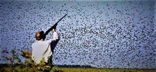 El Cortijo dove hunting in Argentina, Cordoba Province | Hunting - Rated 1.2