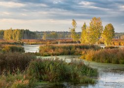 Elk Island National Park in Russia, Central | Parks - Rated 4.1