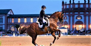 Equestrian Center Kandel Brethren in Luxembourg, Luxembourg Canton | Horseback Riding - Rated 0.9