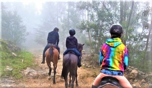 Beka Ferda Ranch in Ethiopia, Addis Ababa | Horseback Riding - Rated 0.8
