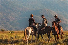 Evergreen Adventures Guyana | Horseback Riding - Rated 0.7